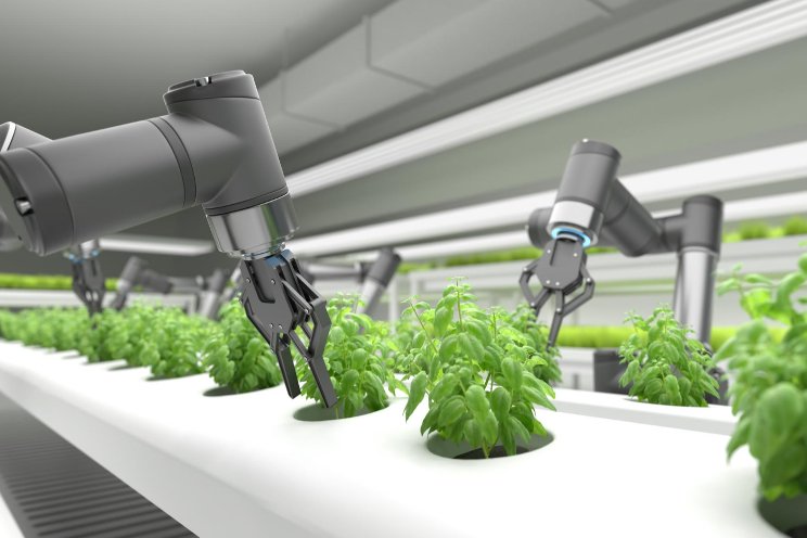 Increasing crop sustainability with AI