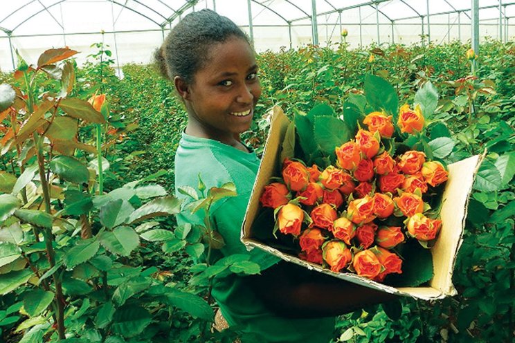 HPP announces 2025 Hortiflora Expo in Addis Ababa