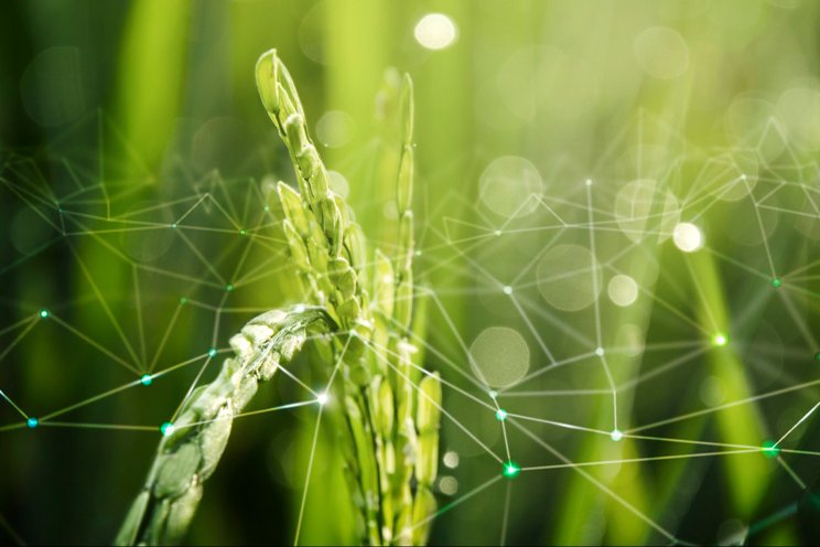 Benefits of edge computing in agriculture