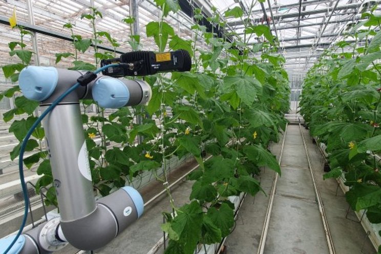 'AI can help growers discover more about their crops'