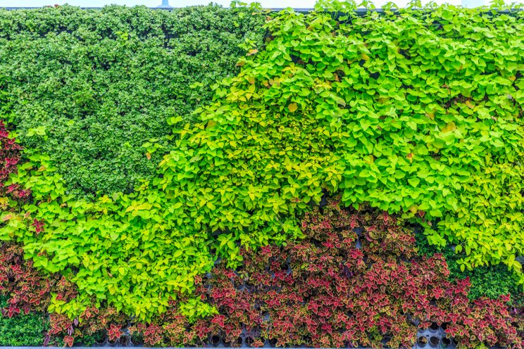 Indoor vertical gardens demand energy efficiency boost