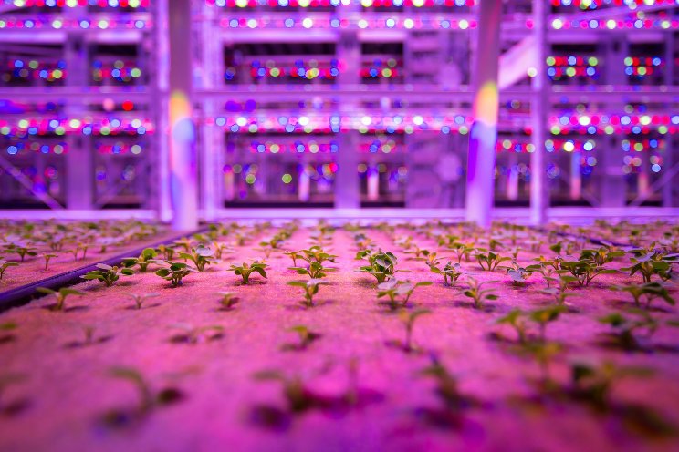 Is your vertical farm ready for 'old man winter'?