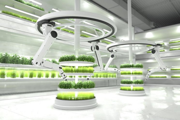 AI can slash indoor farming energy use by 25%