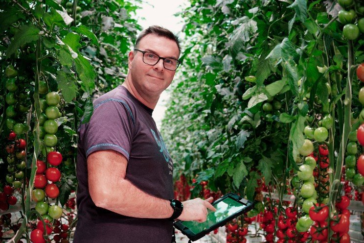 Canadian tomato grower Jack's Organics selects Source.ag solutions