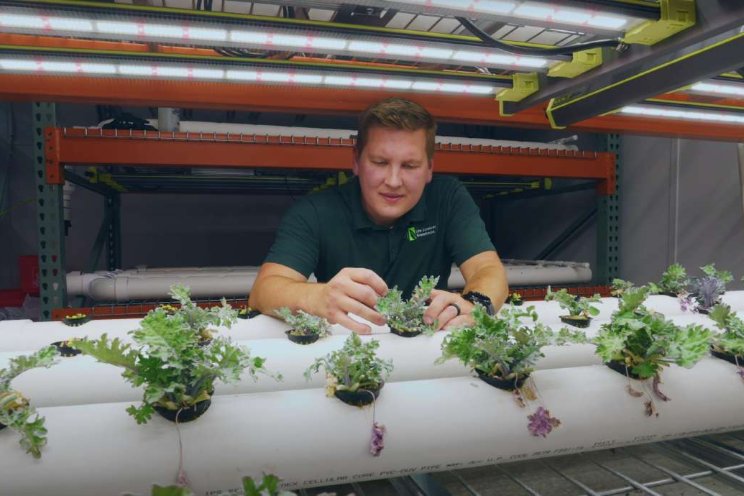 BYU greenhouse design provides fresh produce for homeless center