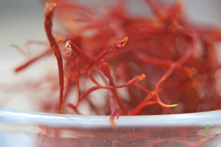 Kashmir's saffron farmers turn to indoor cultivation