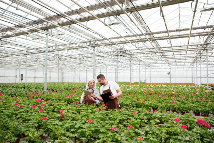 How to future-proof the heating tech in your greenhouse design