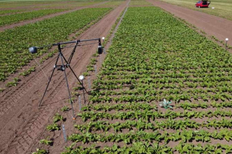 Improving crops with laser beams and 3D printing