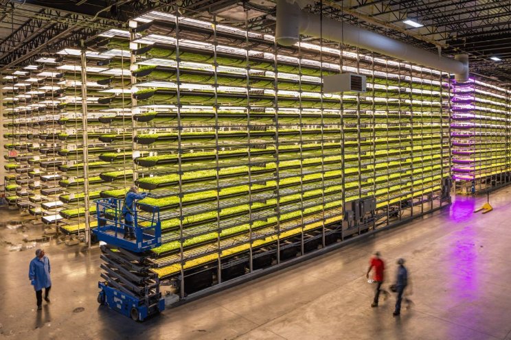 Where are vertical farming's biggest leafy green growers now?