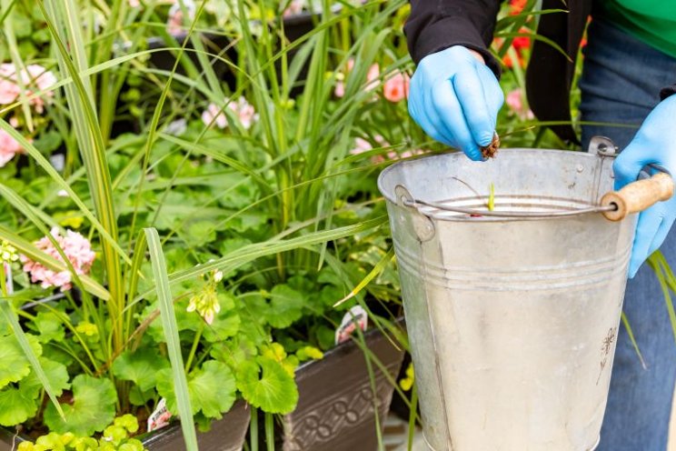 How to keep workers safe when using pesticides