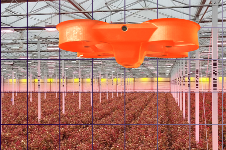 Addressing challenges in mother stock production with Corvus Drones 