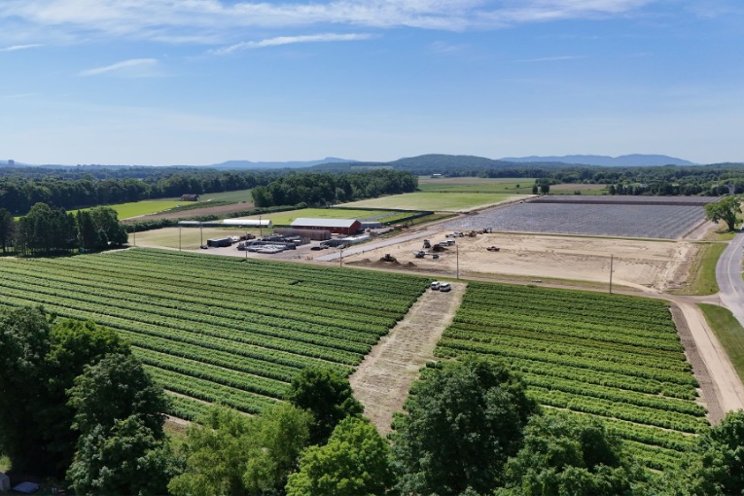 Innovation in strawberry farming