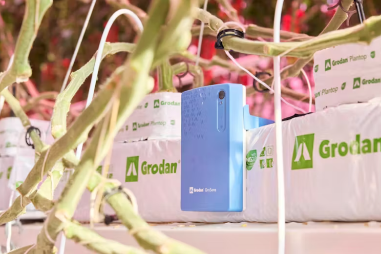 Another growing season for Grodan and Signify