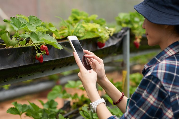 How AI could cultivate the next green revolution in UK agri