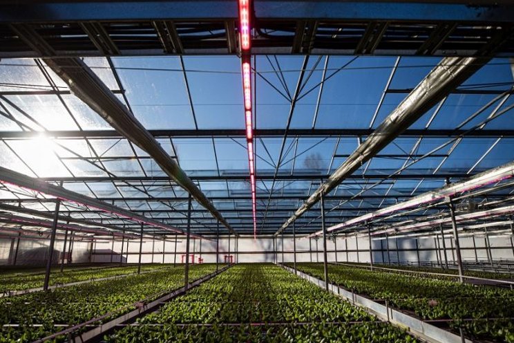 5 pieces of greenhouse equipment to boost productivity