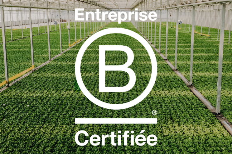 Cultures Gen V certified B Corp: A first in Canada