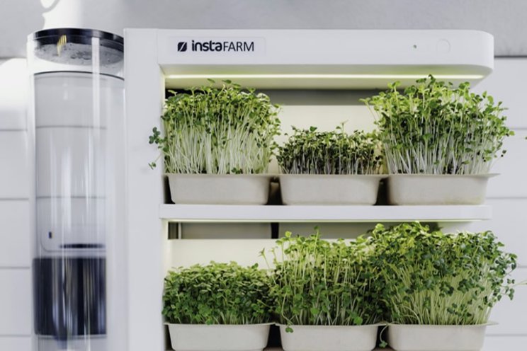 Homegrown innovation: The future of farming with Instafarm