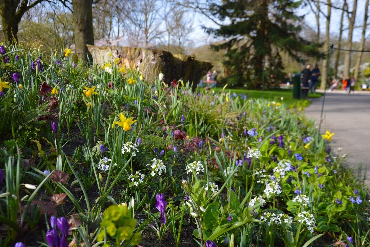 Putting sustainably grown and presented perennials on the map