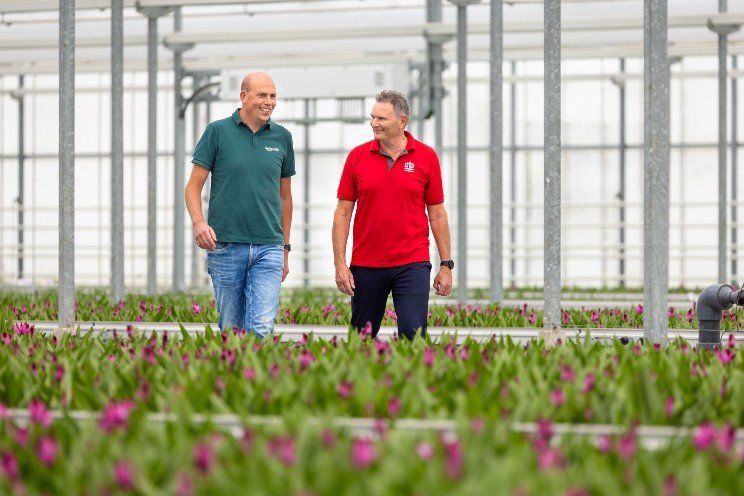 Former tomato greenhouse transformed into a potted plant nursery