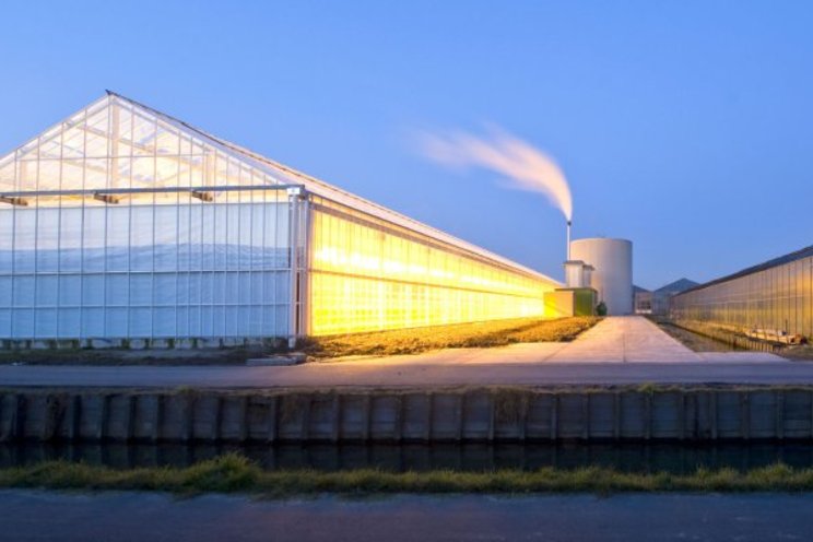 WUR explores a 'system leap' towards profitable greenhouse horti