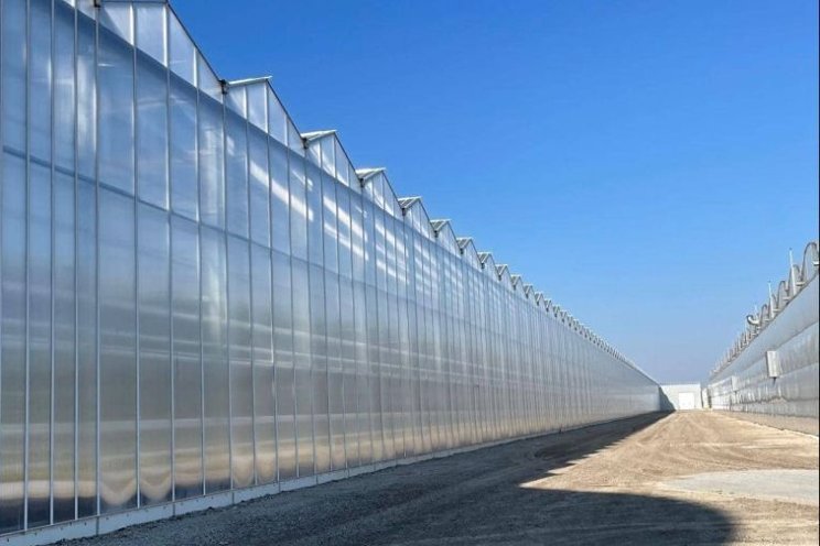 4 factors to consider before upgrading greenhouse coverings