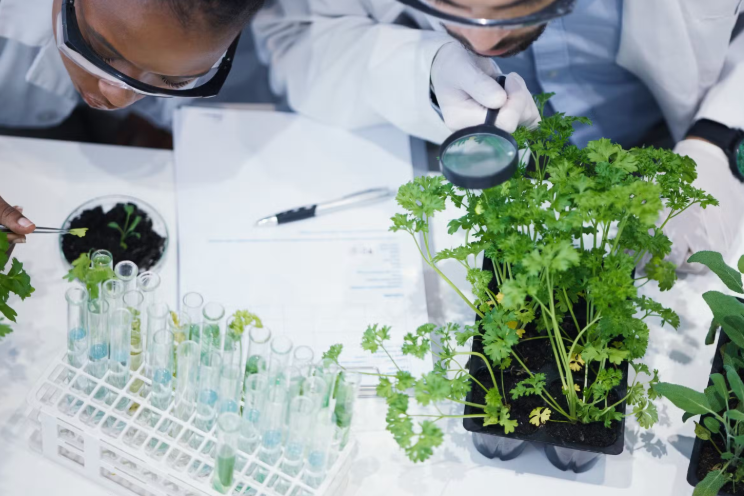 Syngenta & TraitSeq to advance biostimulant research with AI