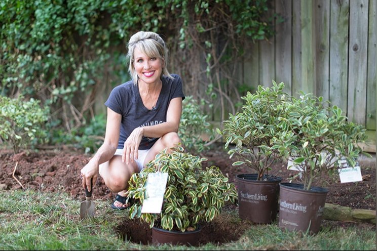 PDSI partners with garden influencer Linda Vater