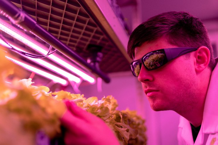 Dynamic control boosts vertical farming efficiency