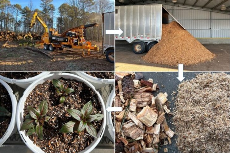 Growing from the ground up with wood fiber