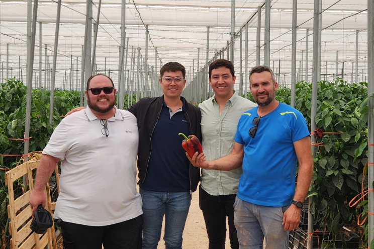 Creating an optimal climate for growing peppers in Almera