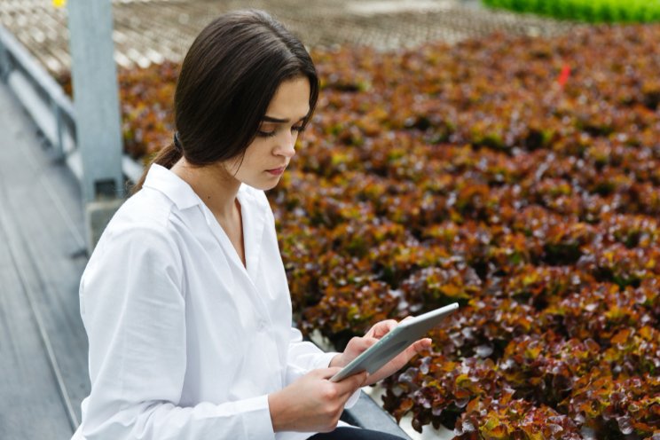 Agtech startups face tough challenges. How can they overcome them?