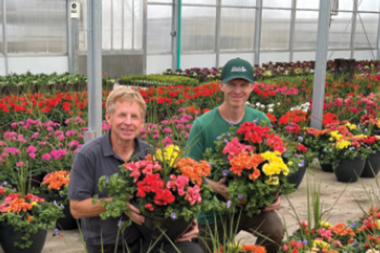 Driving spring success with colorful begonias