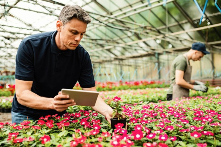 How to overcome your greenhouse operations challenges