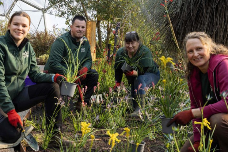 New plant varieties in Eden's Australia exhibition