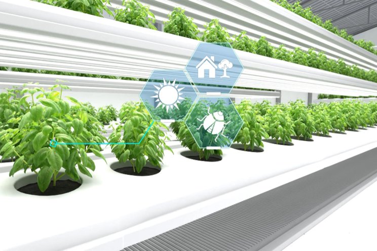 Optimizing greenhouse efficiency with digital twins