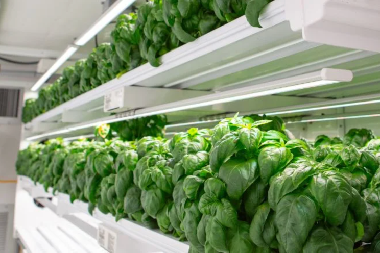 Elevating the impact and value of modular farming