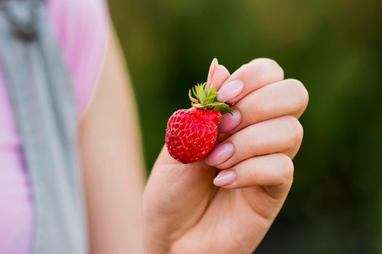 CEA food trends in the USDA Census of Agriculture