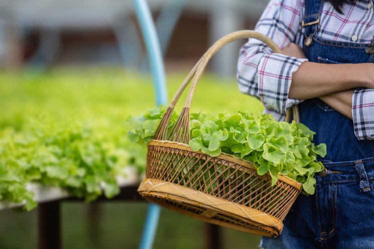 From home garden to award-winning farm in Dubai