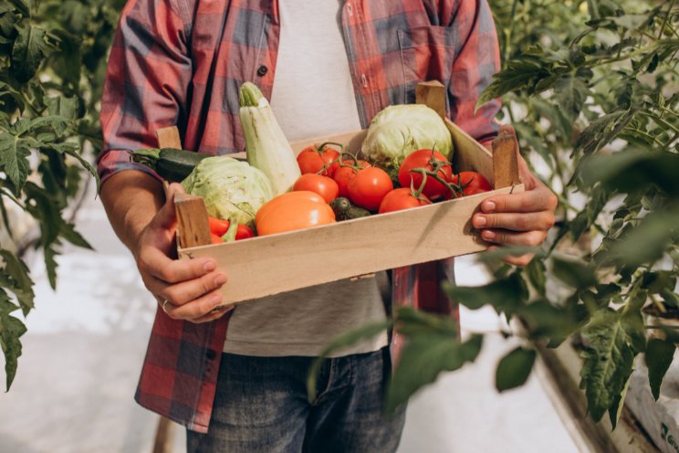 Smart greenhouses, tracking from farm to shelf