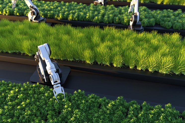 Robots on a Roll: The future of farming is here now