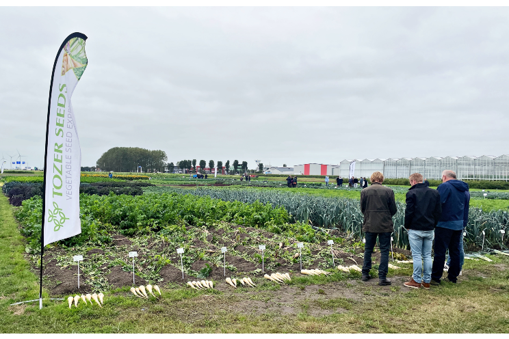 Tozer showcases wide range of seed innovations at Dutch Field Trials