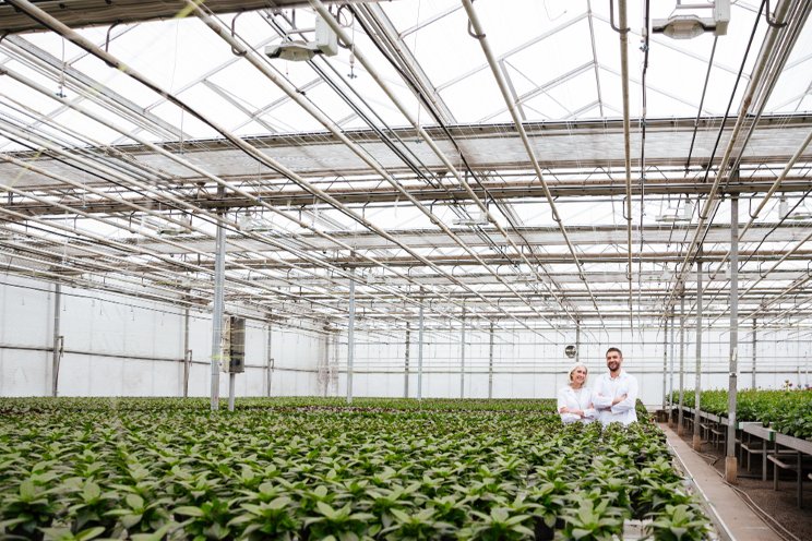 Choosing the right greenhouse enviromental control systems