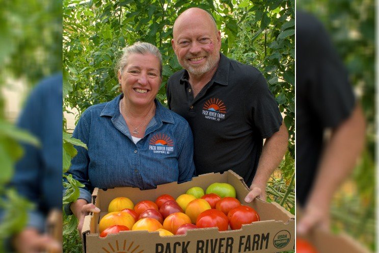 Pack River Farm selects Sollum for advanced tomato cultivation