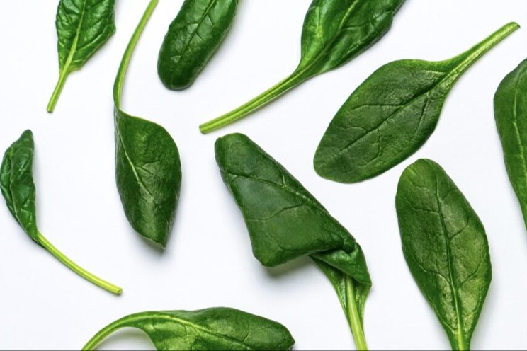 Cracking the code: Indoor-grown spinach