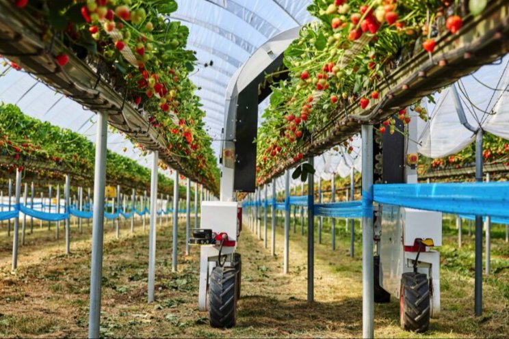 Why agri-tech and nature have a place on the farm of the future