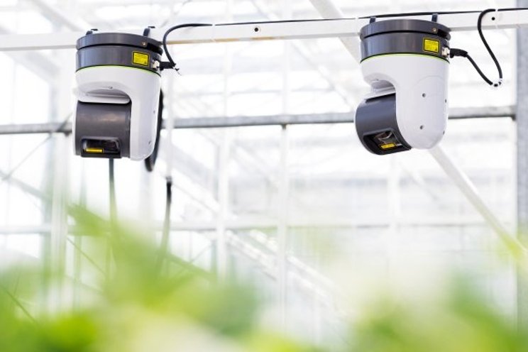 Does using more smart sensors ensure better crop results?