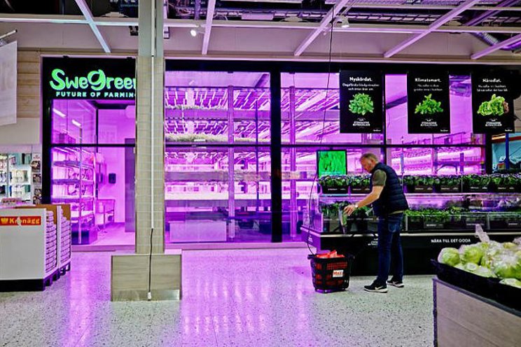 This Swedish VF start-up grows vegetables inside of supermarkets