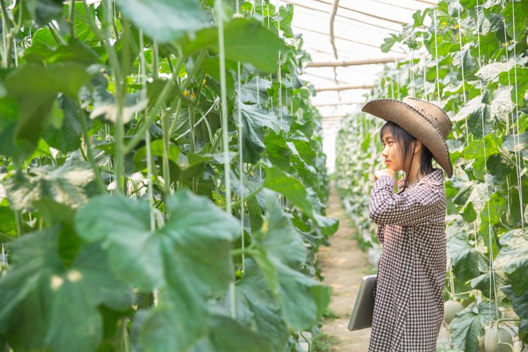 There's always room to grow your greenhouse knowledge