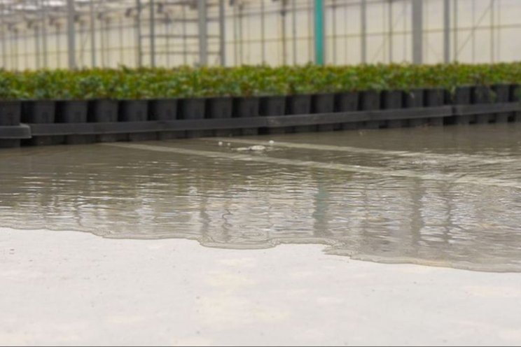 Training and tools to save water in the greenhouse