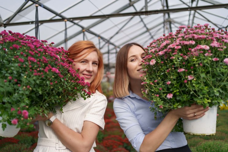 How to overcome barriers when building your greenhouse team